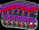 Thumbnail PLR Mastery- Make Money Online!